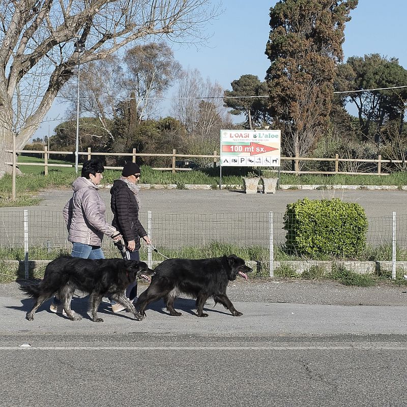 Walking with my dog (8).JPG